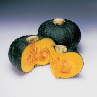 Special Export Squash Thumbnail